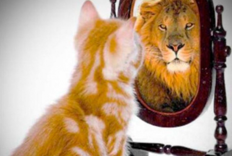 Вашиот успех не е само утрински одраз во огледалото, треба малку повеќе!